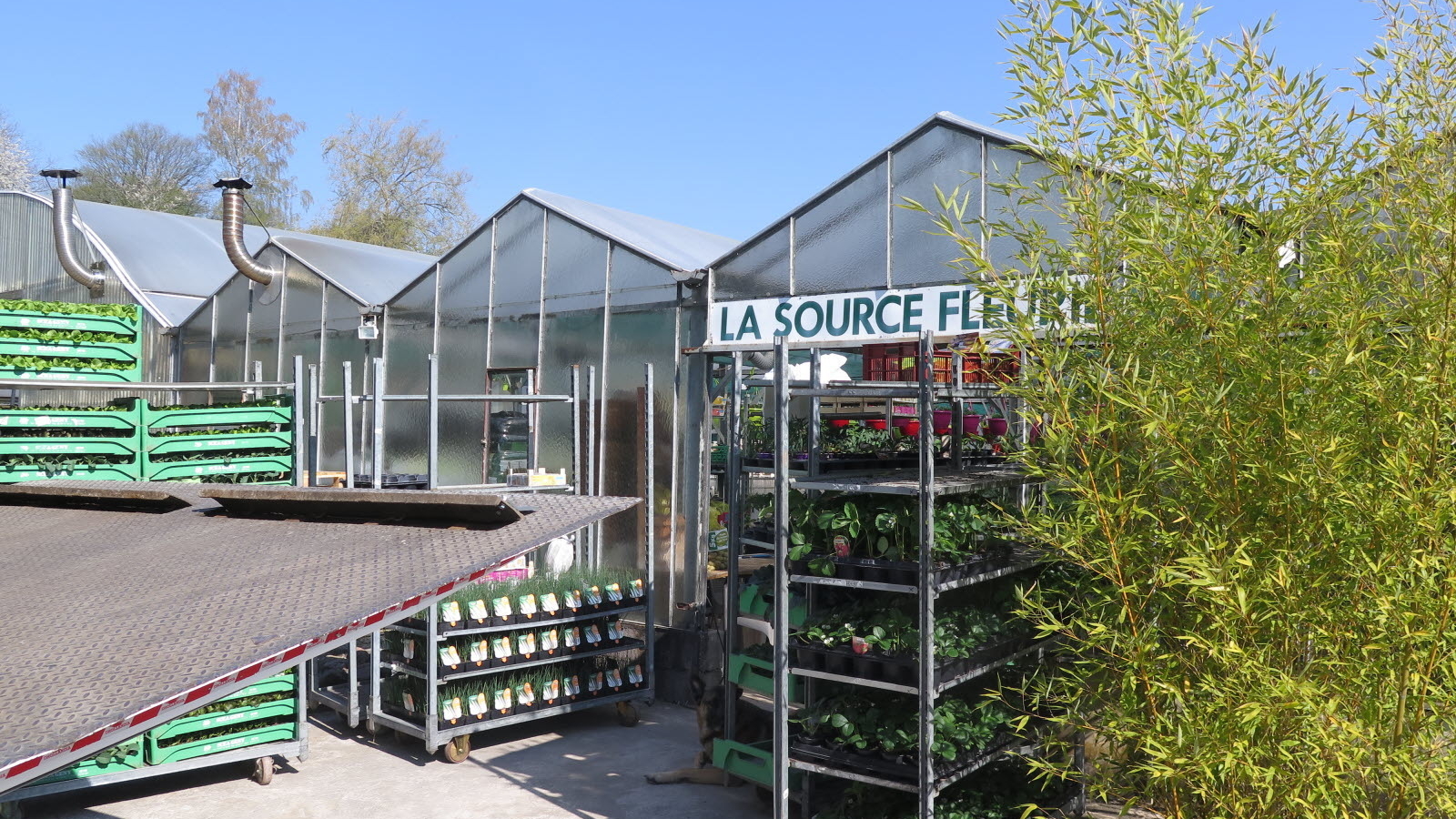 La source Fleurie