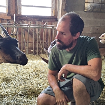 Les Chèvres de la Tuilerie  - LES AYNANS