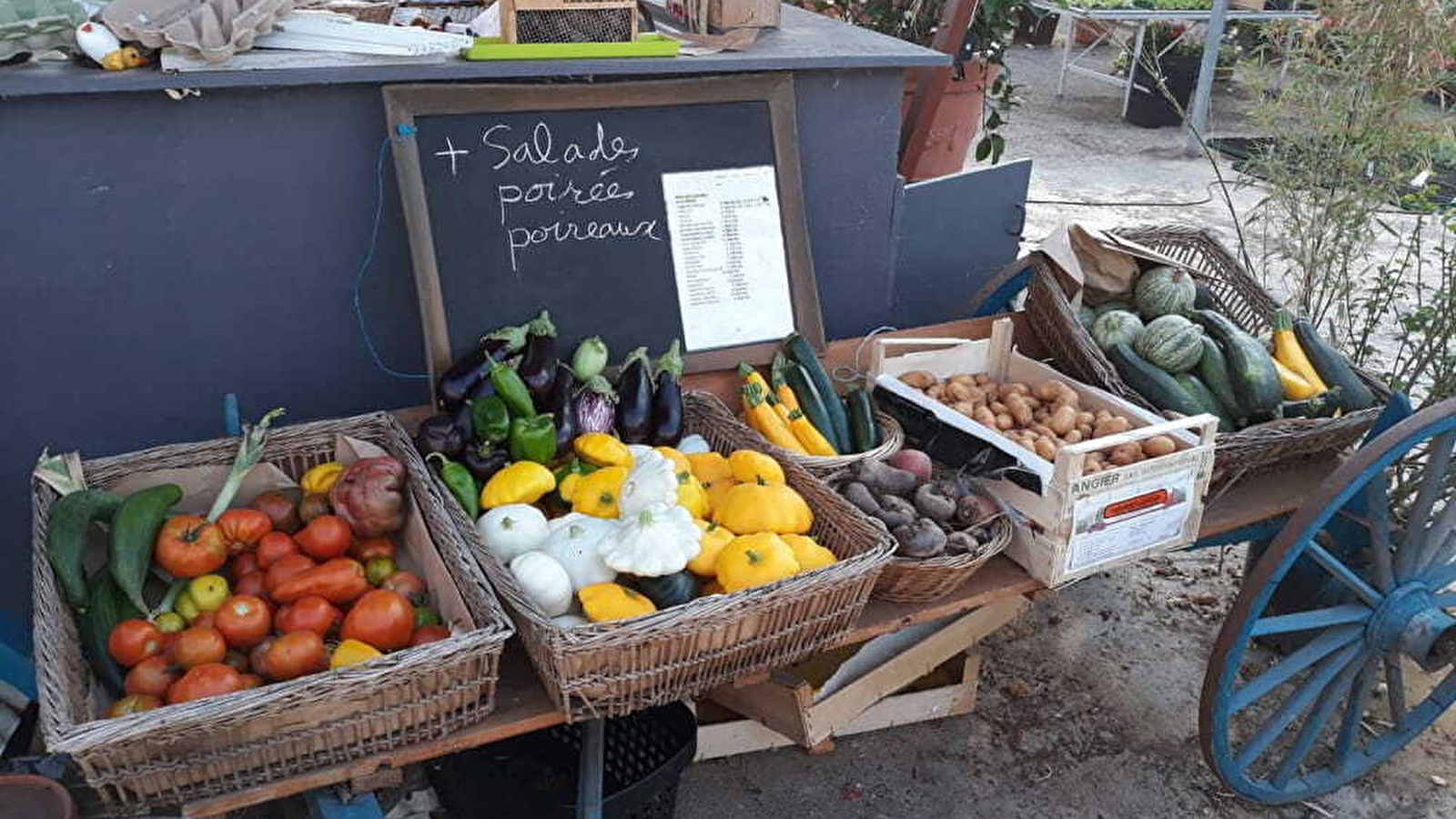 Le bois fleuri