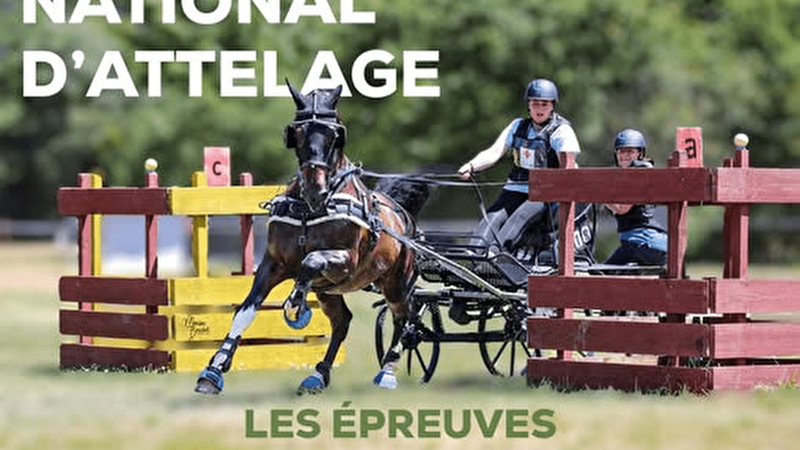 Concours National d’Attelage 