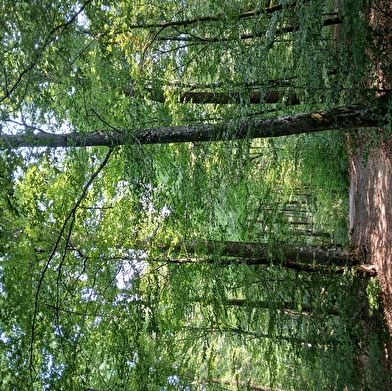 Site de pique nique à l'Etang des Monts Reveaux 
