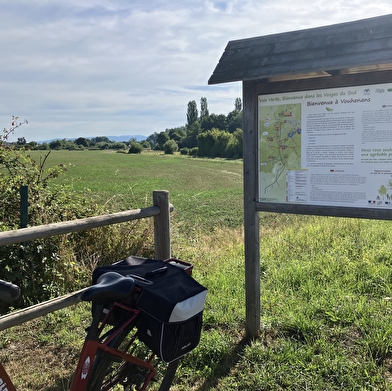 Voie Verte Lure - Vallée de l'Ognon