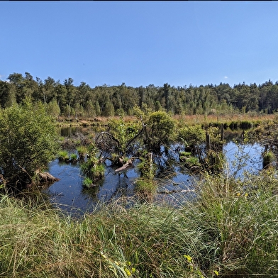 Le sentier de l'Eau et la Pierre
