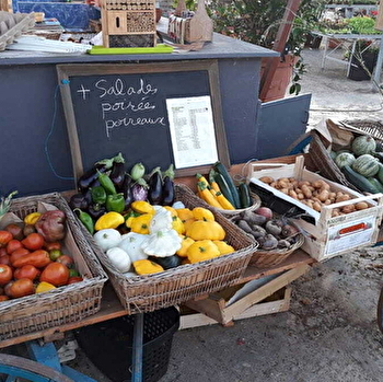 Le bois fleuri - VY LES LURE