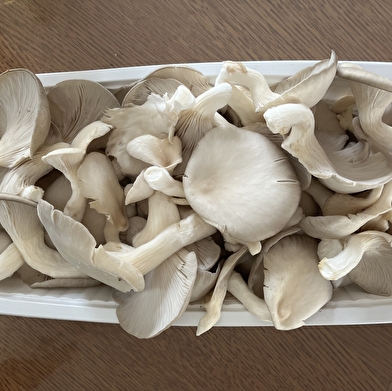 O'Saveurs de la nature